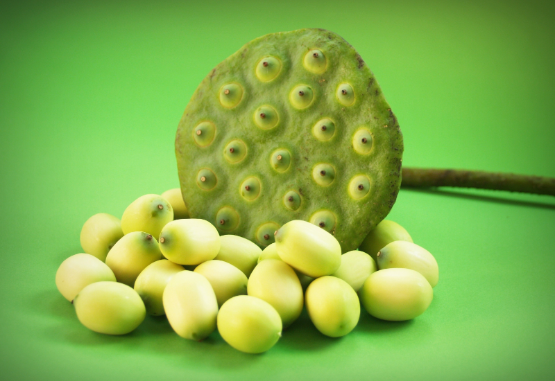 Dược liệu và sản phẩm chăm sóc sức khỏe